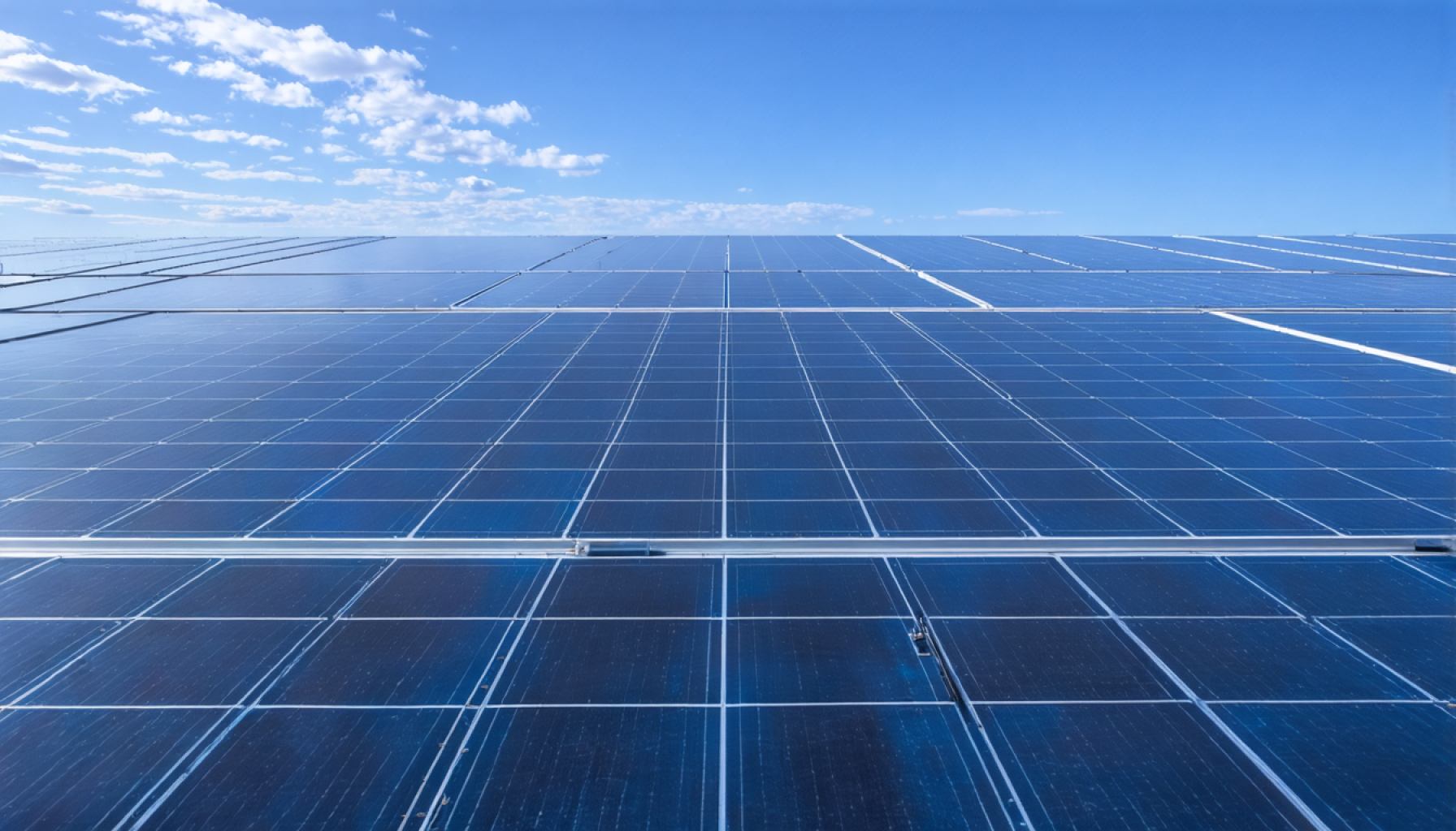 NextEra Energy Powers Into 2025 With a Surge in Renewables and Earnings