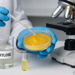 Analýza xylozy pred extrakciou vosku: Prevraty v roku 2025 a odhalené neviditeľné trhové príležitosti