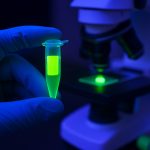 単一分子イメージングのための蛍光標識試薬：2025年の市場急増と革新